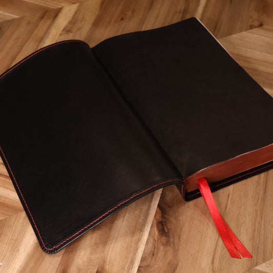 NEW Bible ESV "Fire & Brimstone" - Minor Flaws